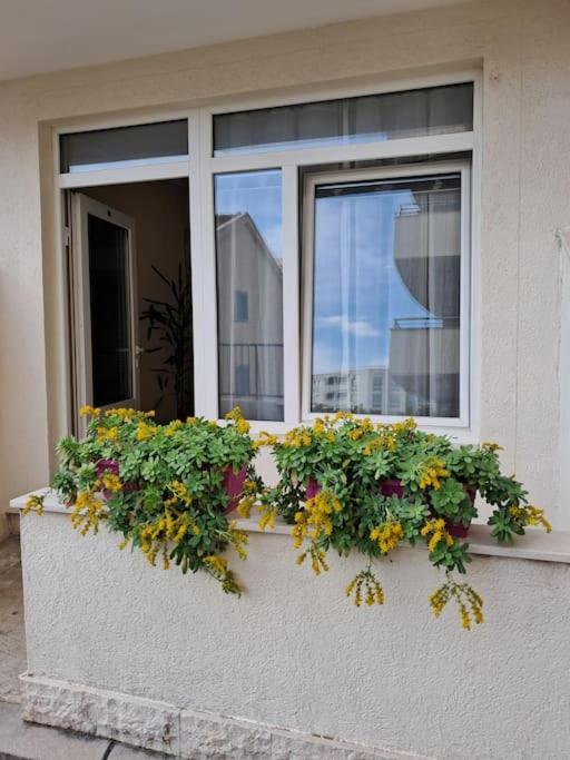 Holiday Home Apartment Budva Kültér fotó